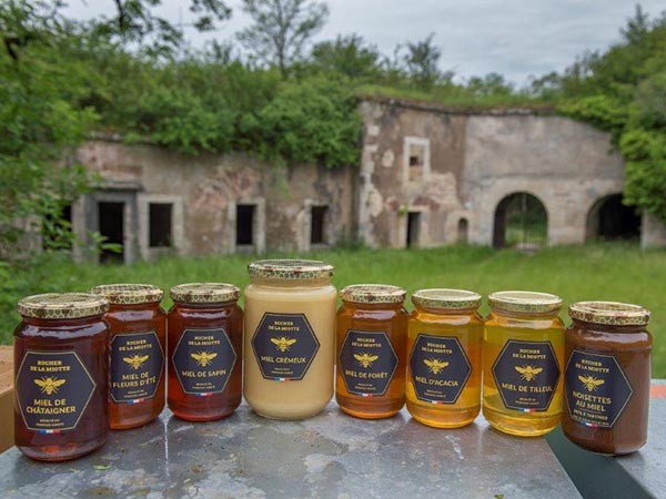 miels produits par le rucher de la miotte 90
