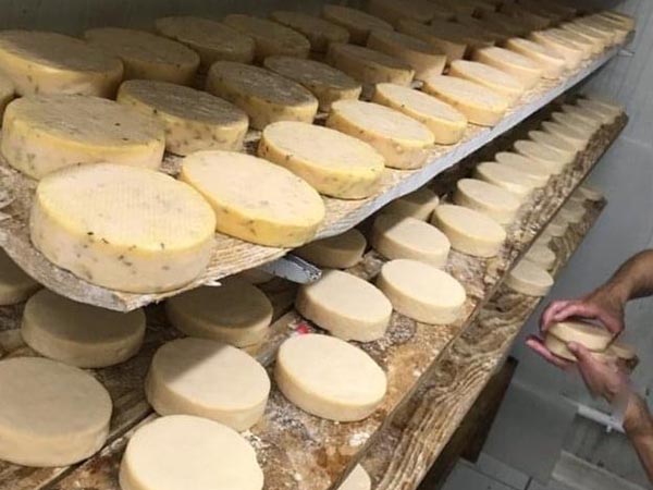 fromages bio au lait cru munster aop bio ferme des prairas 90